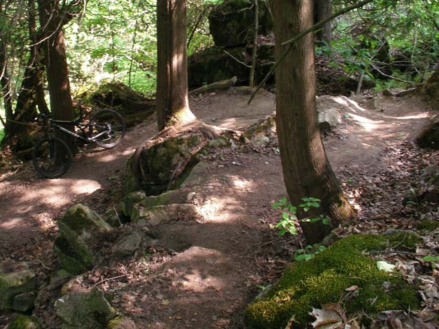 Imgp0819