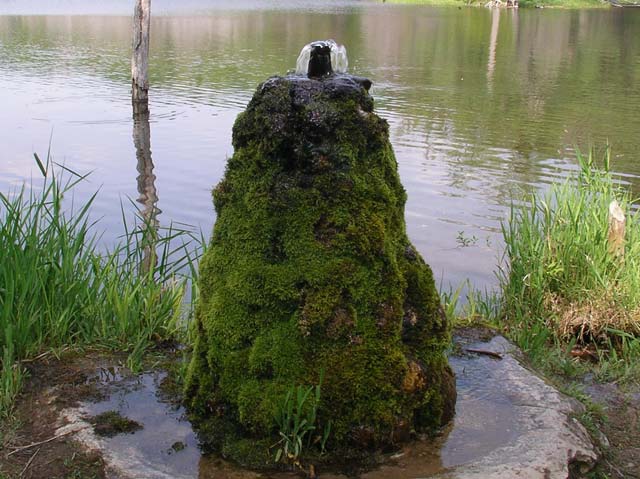 Imgp0822