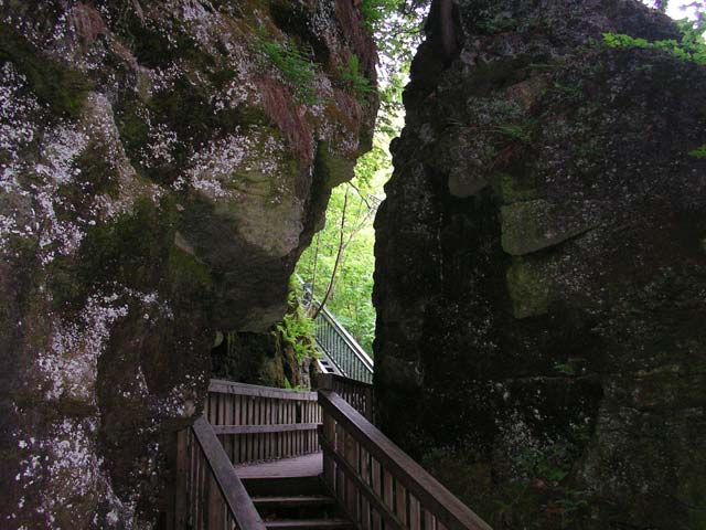 Imgp0830