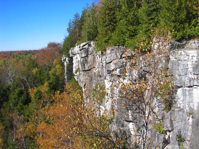 Img 7796