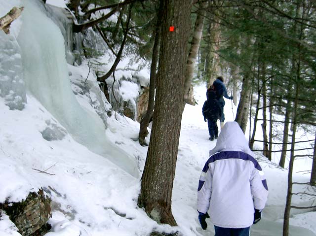 11 Hiking To The Falls