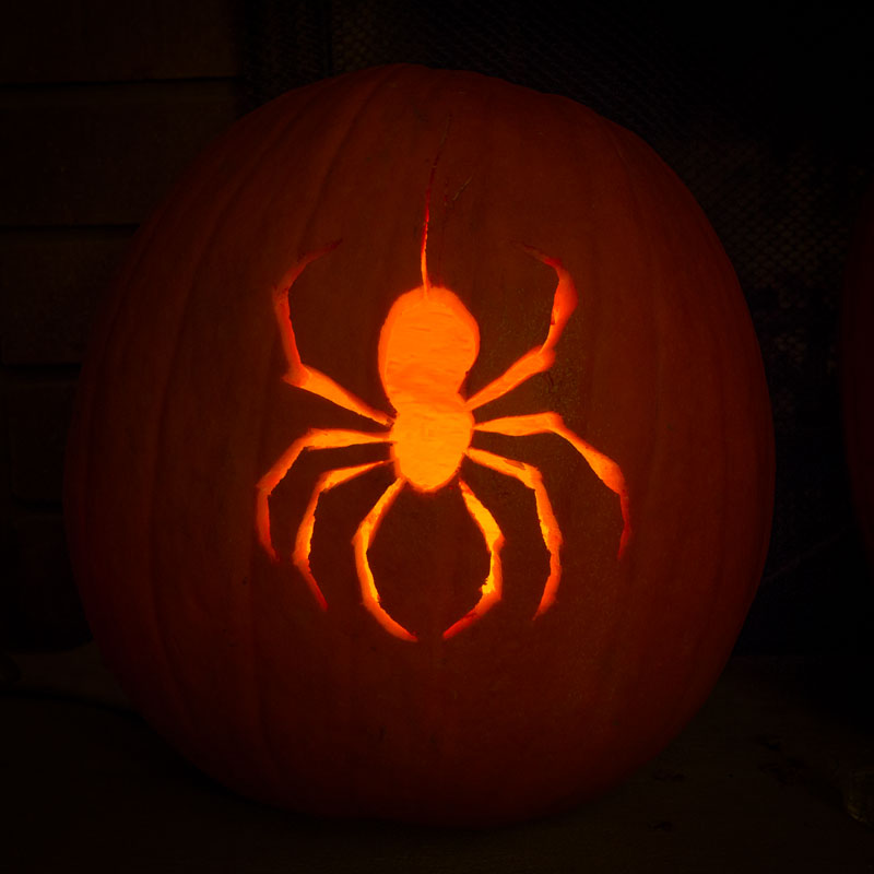Pumpkin2013 Spider