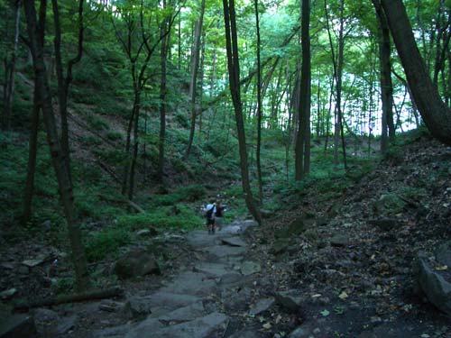 05 Still Heading Down