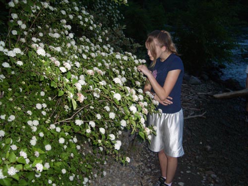 10 Stopping To Smell The Flowers