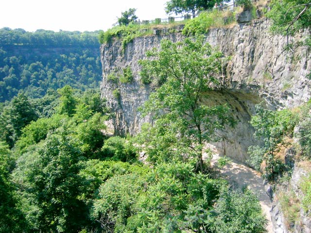 12 View Of The Trail